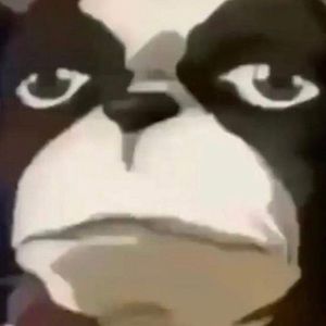 Meet your Posher, Billy